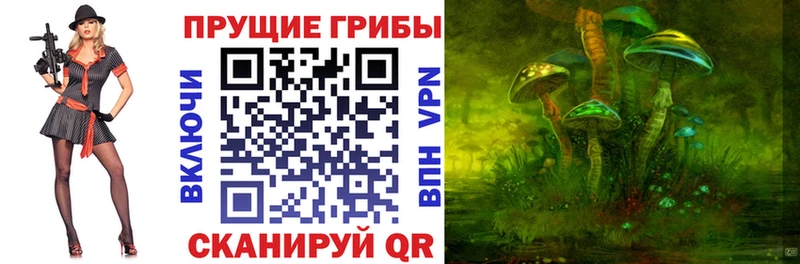 Галлюциногенные грибы Cubensis  Приволжский 